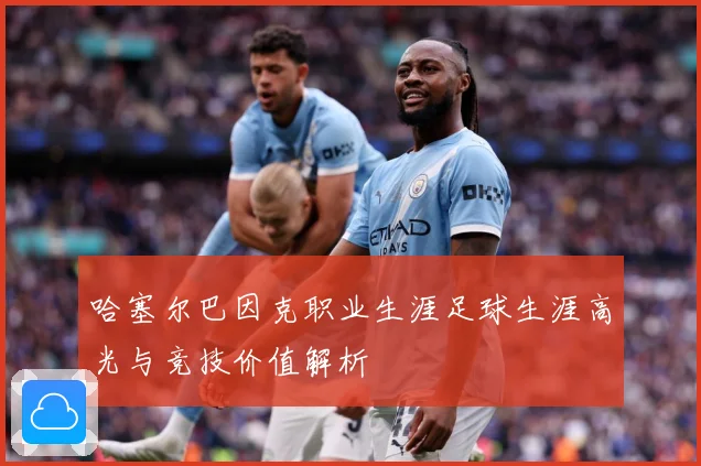 哈塞尔巴因克职业生涯足球生涯高光与竞技价值解析