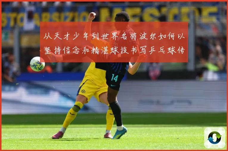 从天才少年到世界名将波尔如何以坚持信念和精湛球技书写乒乓球传奇人解析