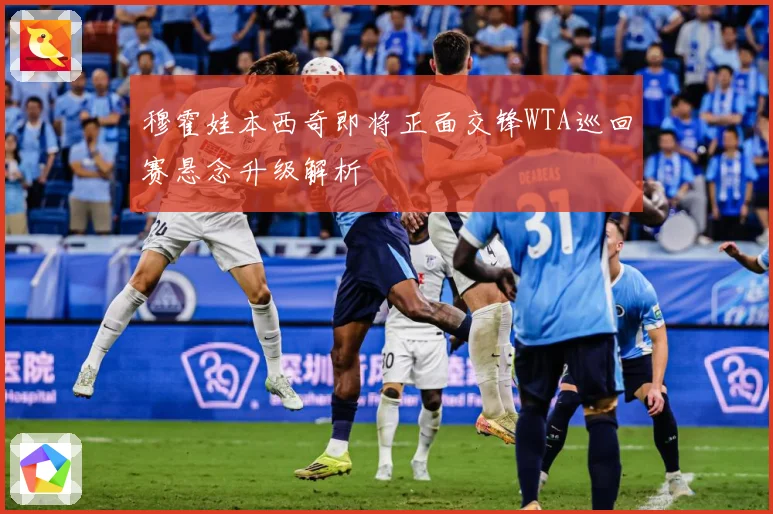 穆霍娃本西奇即将正面交锋WTA巡回赛悬念升级解析