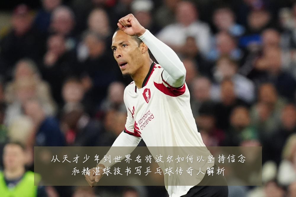从天才少年到世界名将波尔如何以坚持信念和精湛球技书写乒乓球传奇人解析