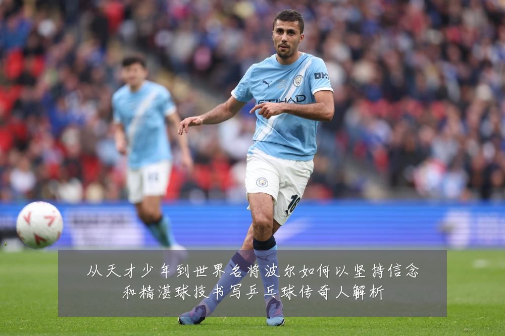 从天才少年到世界名将波尔如何以坚持信念和精湛球技书写乒乓球传奇人解析