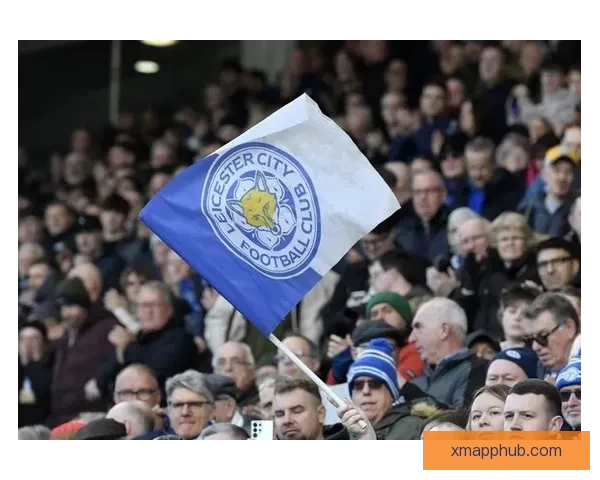 蓝狐近十五轮仅得十一分陷入英冠降级区保级压力骤增